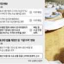 조항 이미지