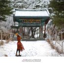 등명락가사 이미지