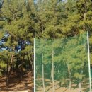 경산골프 (대구대) 이미지