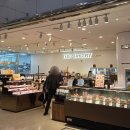 센텀대중목욕탕 | 부산온천여행 동래 허심청! 목욕의신 목욕탕 찜질방 농심호텔 사우나 추천