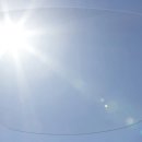 알로뷰안경 이미지