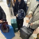 서희여행사