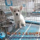 탑골로2길 이미지