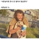 우드인스테이