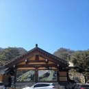 우둠지 풍천장어 이미지