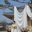 아델라한옥 | 양평 아델라한옥 한옥웨딩 후기｜로맨틱한 봄 야외결혼식 현장