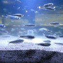 좋은아침한의원 이미지