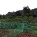 상주공인중개사사무소 이미지