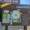 정선떡집이야기/정선농원 | 정선캠핑장 가네골농원에 다녀온 내돈내산 후기예요