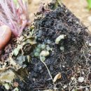 (주)세농 이미지