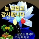 토요일 꽃편지! 당신께 보내고 싶은 오늘의 편지 이미지