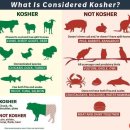 코셔(כשר, kosher)와 영혼을 지키다: 이미지