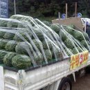 장수충전소 이미지