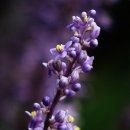 광주체육고등학교 이미지