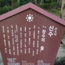 신수어린이공원 | [구마모토 여행] 시내 가볼만한 곳 : 일본식정원 스이젠지 조주엔(水前寺成趣園)