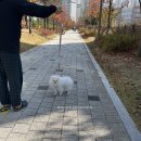에브리댕 이미지