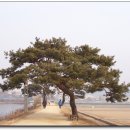 여기산공원 이미지