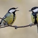 (주)위덤 이미지