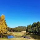 현충원로(유성-19) 이미지