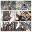 호근동-8 이미지