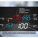 신호카포스 이미지