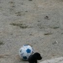 건우농장 이미지