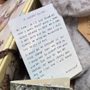 럭키A | [레나베어 정품] 테디테일즈 럭키박스A 후기