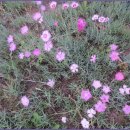 범계역 7번출구(희망공원) 이미지