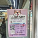 나나네 애견샵 | 진주 고양이 반려동물 미용샵 나나애견 후기