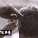 오즈펫살롱 이미지