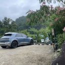 아름애견 이미지