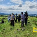 초대1리 이미지