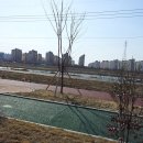 신용초교 이미지