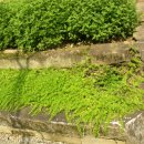 산양초등학교 이미지