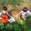 평강농장 이미지