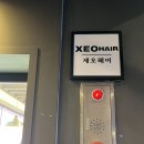 헤어현 | [서울/신촌] 신촌 제오헤어 미용실 추천 두피케어 클리닉 후기