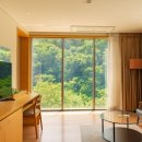 뮤지엄스테이 이미지