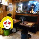 목동쿠시 이미지
