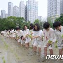 법인마들 이미지