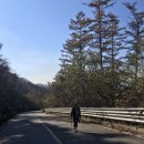 원주굽이길 12코스 뱃재넘이길 이미지