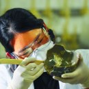 국립해양문화재연구소 태안해양유물전시관 이미지