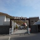 애견가족 | 천안 애견동반 식당 비비킹 가족나들이 후기