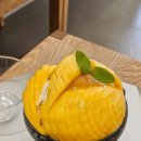 반송여중(일동아파트방면) | 엘빙할루카 솔직후기! 양재천카페 강력추천