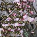 @ 사랑하는 그대에게 - 유익종 이미지