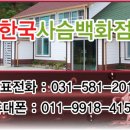 한국사슴백화점 이미지