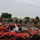 성주동행정복지센터 앞 이미지