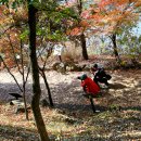 입곡군립공원(산림욕장) 이미지