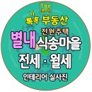식송 이미지