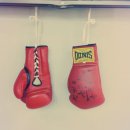 몬스터복싱클럽 이미지