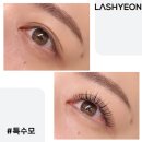 연래쉬